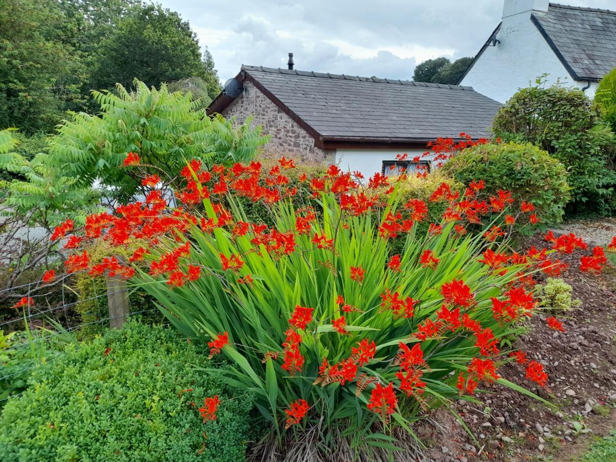 Auld Ffynnon Villa Brecon Bagian luar foto