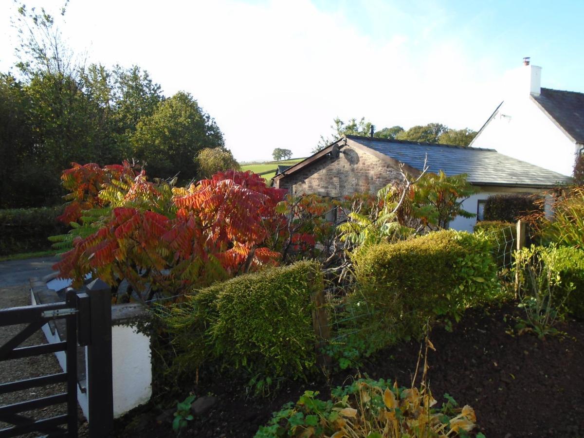 Auld Ffynnon Villa Brecon Bagian luar foto